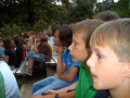 2006 Sommer